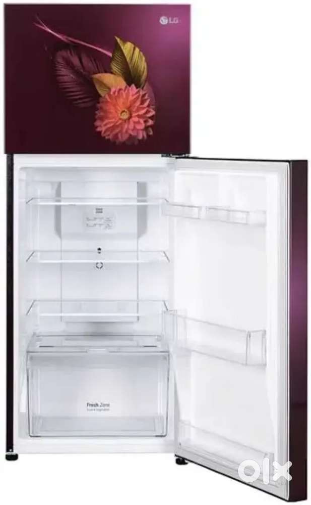 LG 240 litres frost free double door fridge