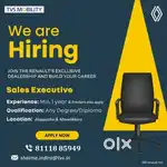 Sales executive