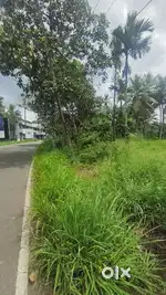Best commercial Land For Sale in Thattayil 30.5 cent