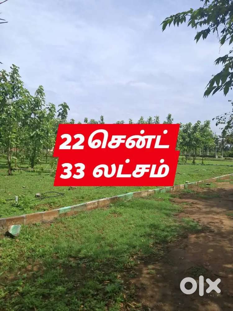 Teakwood farmland sale in kinathukadavu
