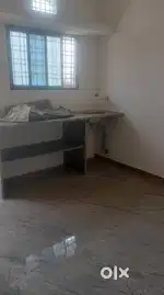 Urgently need female roommates