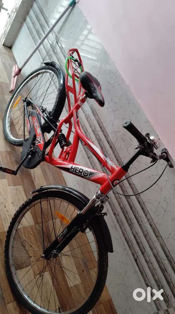 6 month old cycle