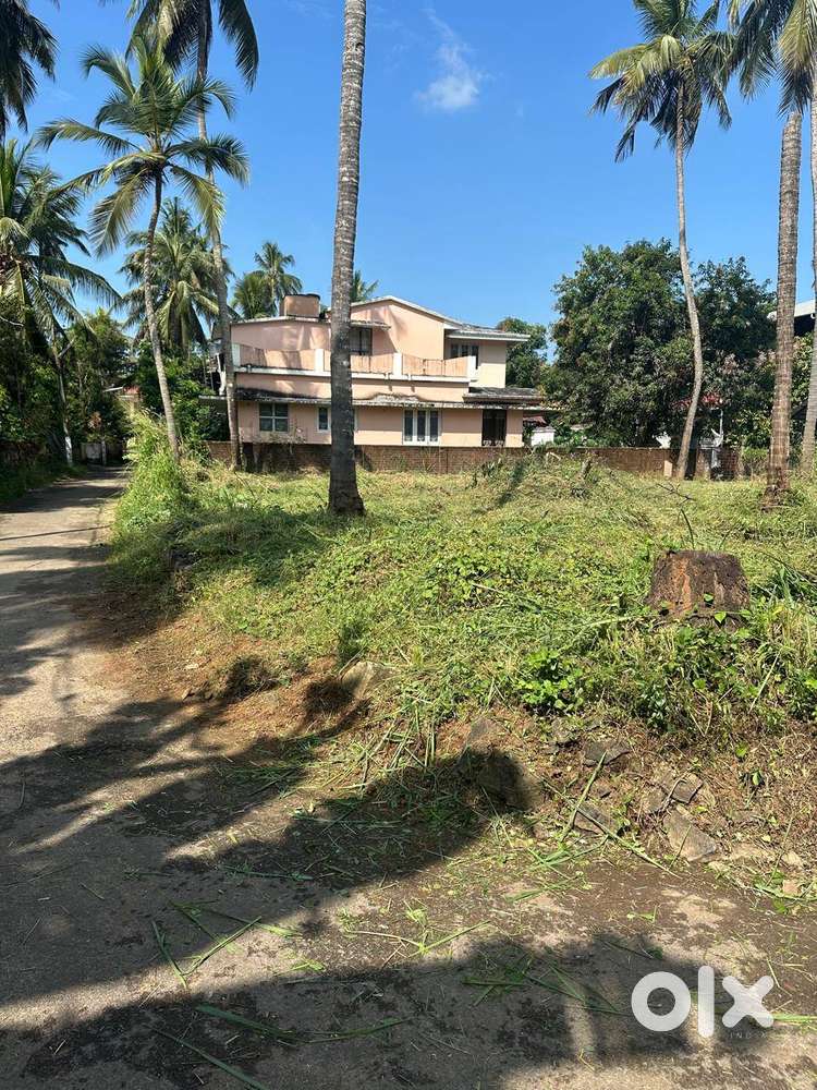 Residential Land-10.5 cent for sale in kuttanellur-Nadathara main road
