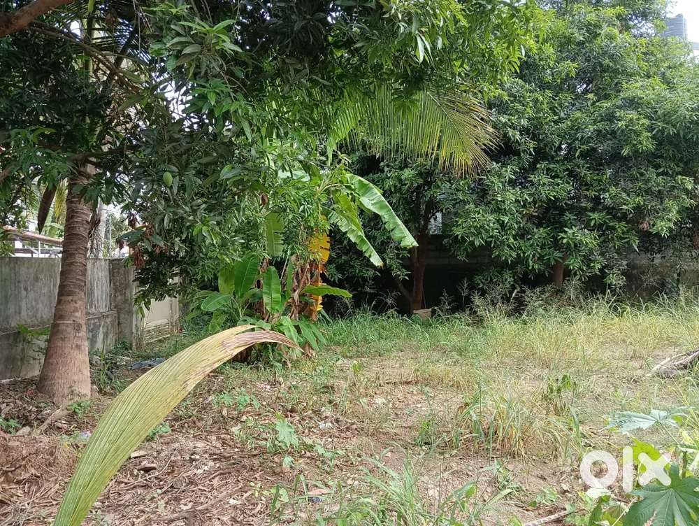 RESIDENTIAL LAND SALE IN MARUTHANKUZHI