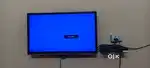 Beltex 32inch