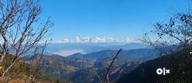 Welcome to mehta property muktheswara nainital best for Himalayan view top hill area river side vell...