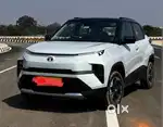 Need Private Driver for EV Car