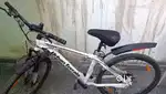Urban terrain 6 months old cycle