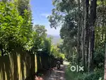 2.25 Acre income generating Resort land@Wayanad,Vythir