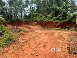 Near Pandakal panniyannur  plot for sale
