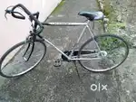 Racing cycle