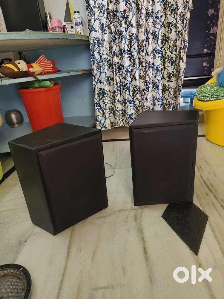 Philips 2 woofers