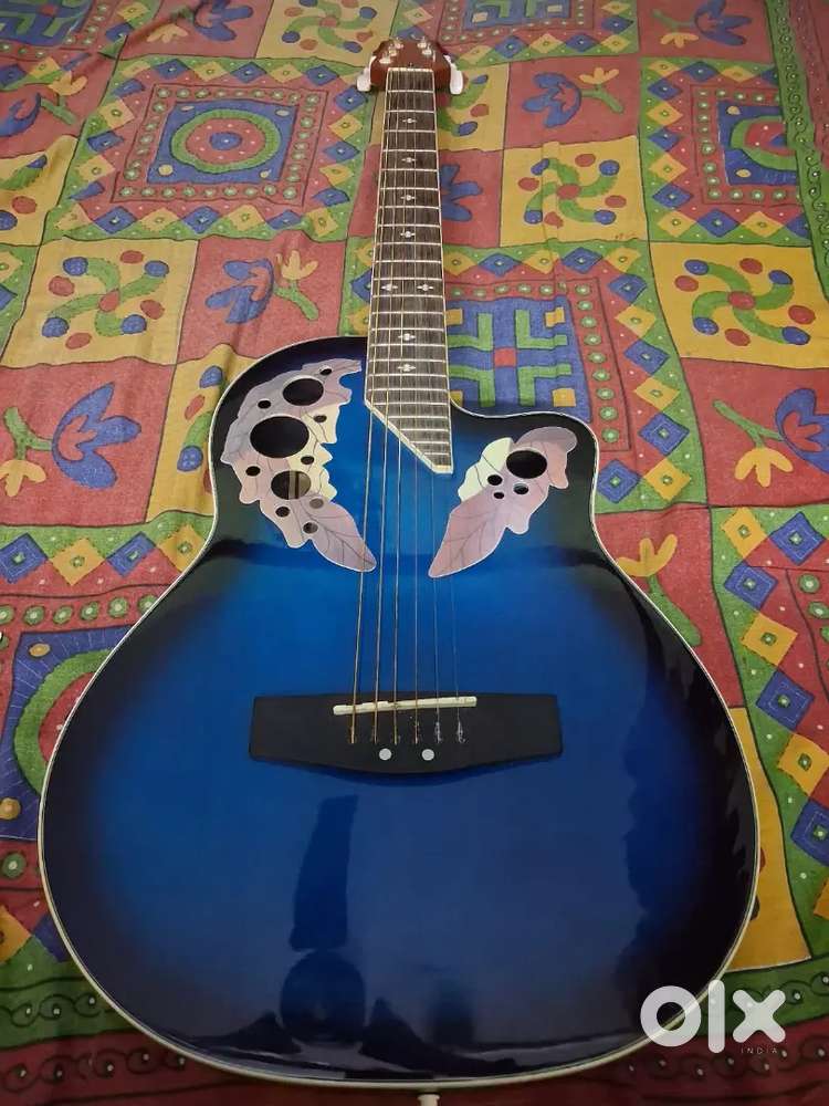 Hertz  semi Acoustic guitar