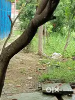 Plot for urgent sale