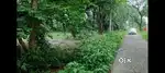 Location nearby Bighapur Unnao Raibareli road se 50 meter par hai
