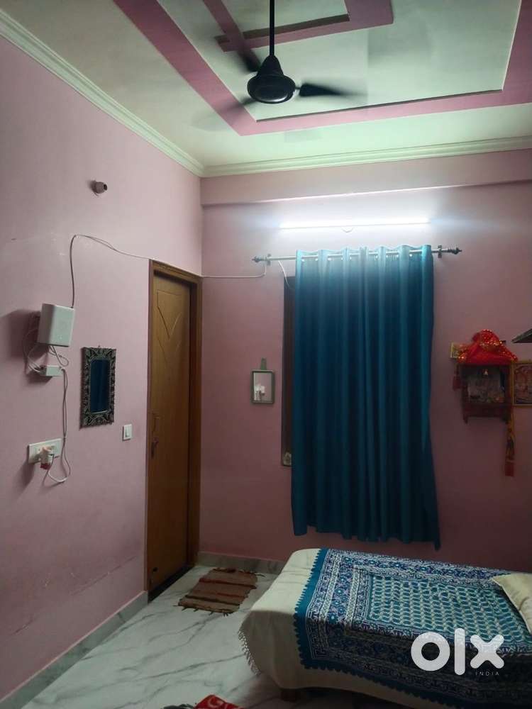 Want a male or female roommate