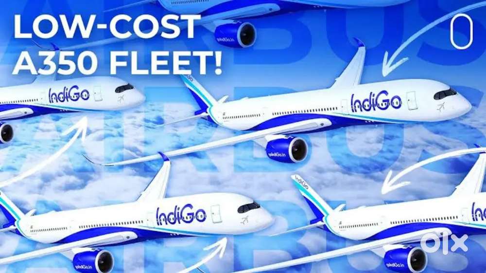Indigo Airlines jobs /Vacancy for Airport Ground staf / Driver / Crew