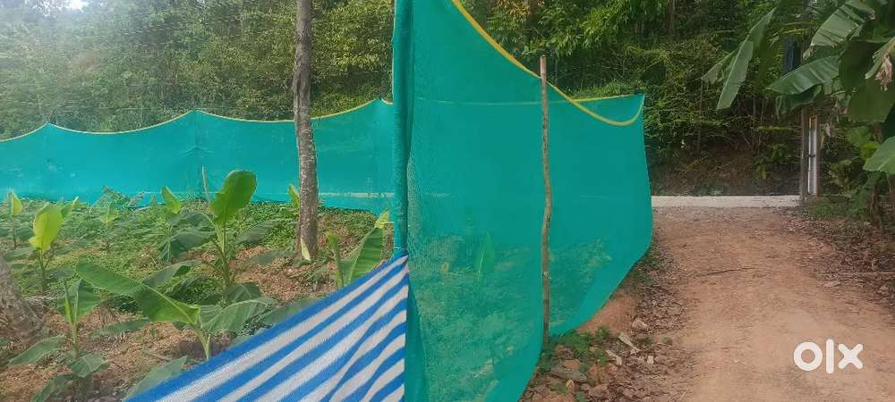 Rectangular land plot for sale in Maruthoor ( 15 cent)