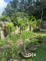 3 Kata 2 Chattak Boundari Wall completed