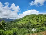 50 CENT LAND FOR SALE PERFECT FOR ECO FRIENDLY CONSTRUCTION @WAYANAD