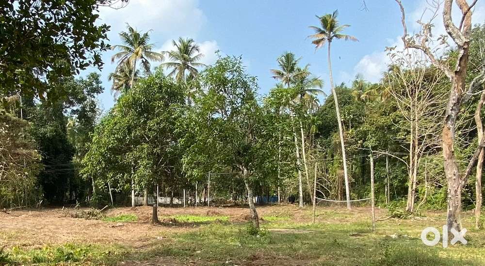 House plots for sale near Edamutam-total 25 cent