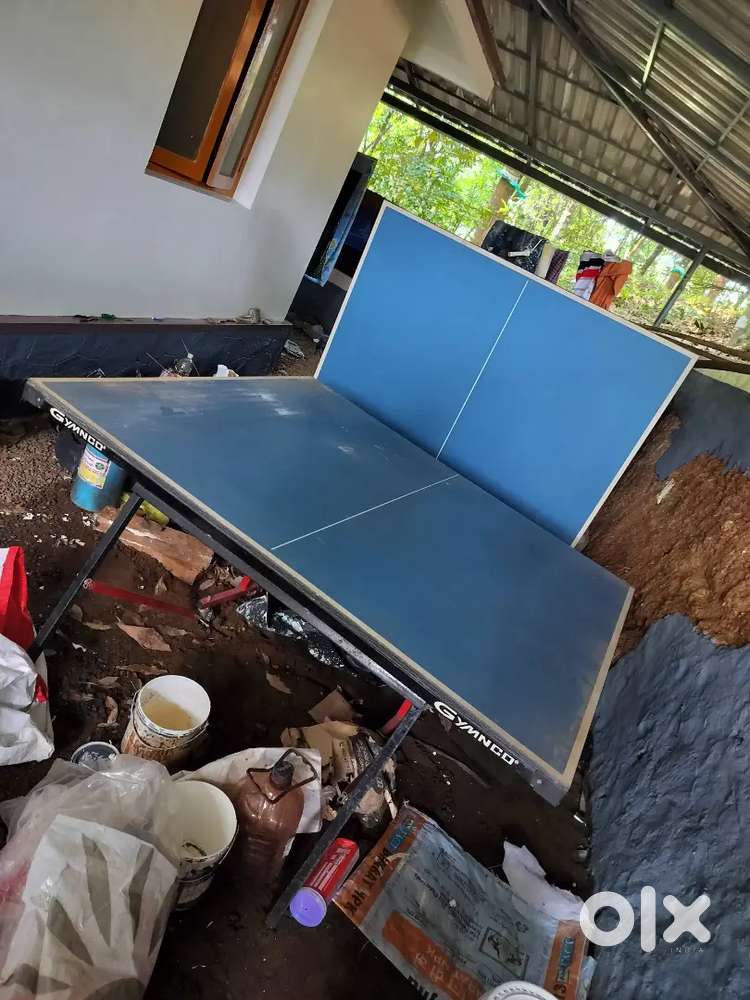 Table tennis table