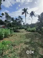 Prime Residential Plots for Sale near Puthoor, Kottarakkara