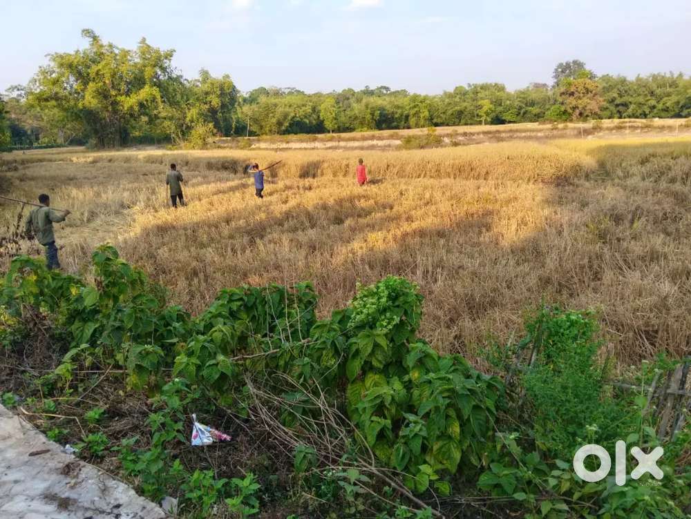 4 and half kotha land , Dahotia , Kalagaon , 400 mtr from Pulibor PS