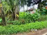 5.5 cents of residential land for sale at Panangad.