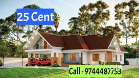 25 Cent , Royal Look House For Sale , Pala - Thodupuzha Road