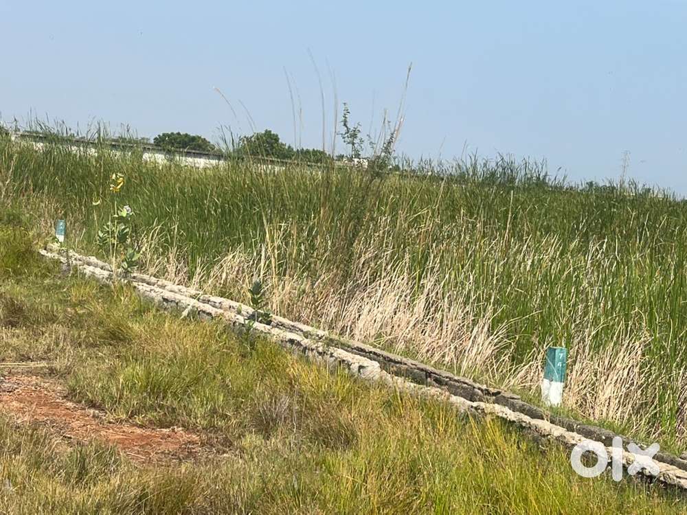 220 yds, Turangi, NH-216 KKD-YANAM road