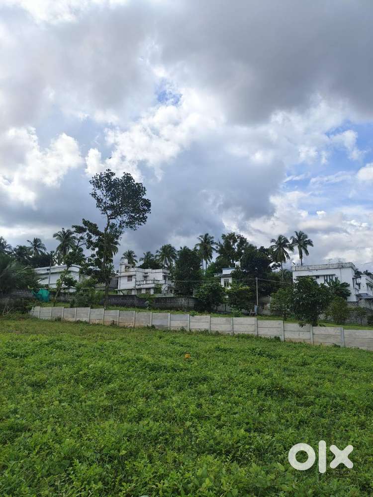 90% ലോൺ സൗകര്യത്തോടൊപ്പം-കിൻഫ്രയോട് ചേർന്ന് 3 BHK  വില്ല പ്ലോട