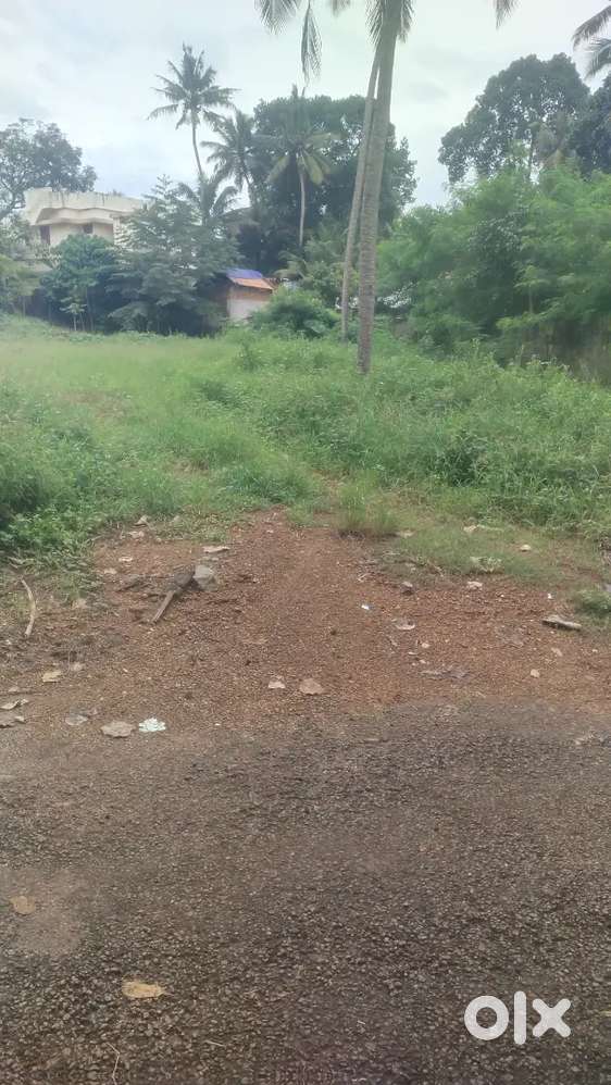 കേരള ഓട്ടോമൊബൈൽസിന്റെ അടുത്തായി 10 സെൻറ് മെയിൻ റോഡിൽ നിന്ന് 70 മീറ്റർ