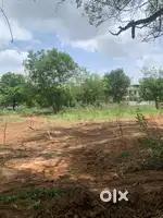 West 200 yards ( rock garden - sainikpuri )