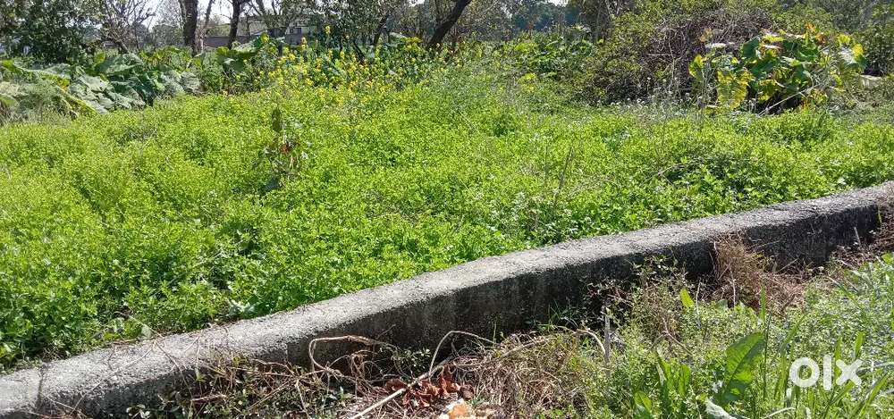 Bus stand kathua