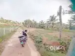 Land 16 cents near KK road Kalathilpady 3.5 lakh/cent