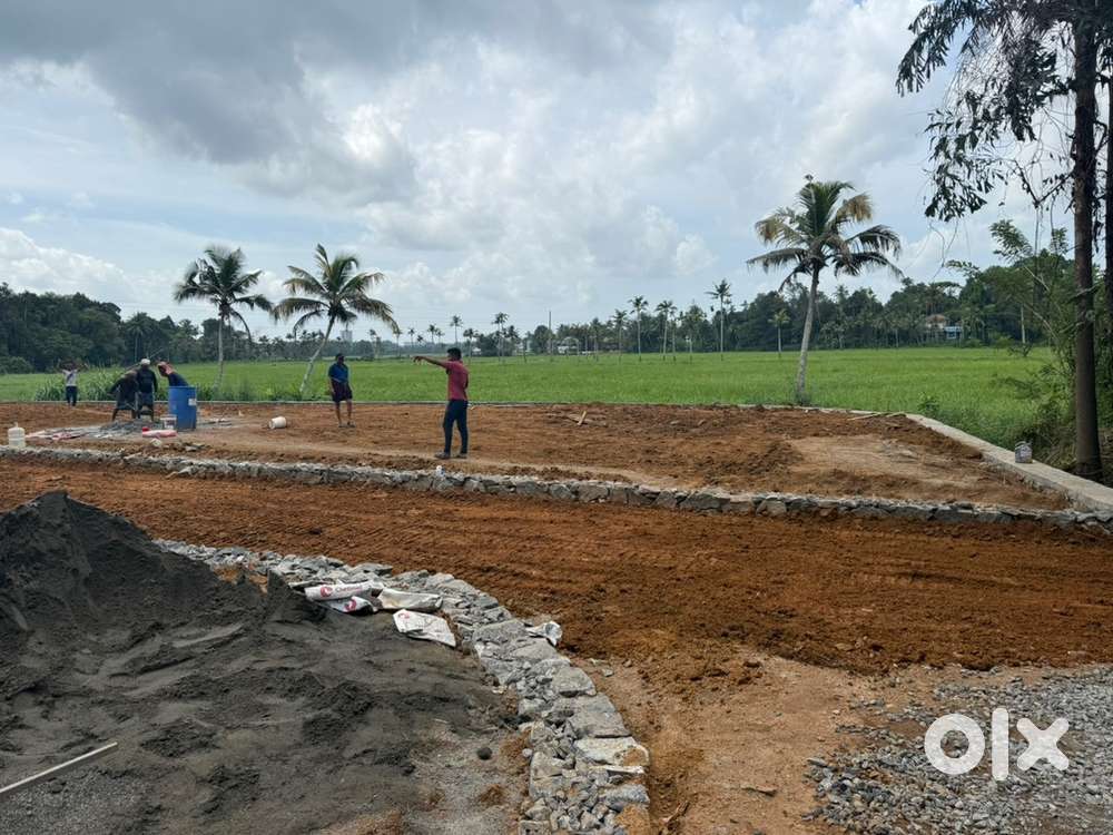 RESIDENTIAL PLOTS PAZHANGANAD NEAR ALUVA PUKKATTUPADY BUS ROUTE