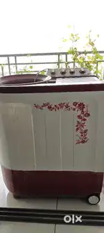 Whirlpool 7.5kg Semi- Automatic Washing Machine