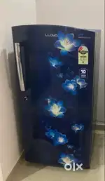 Lloyd fridge