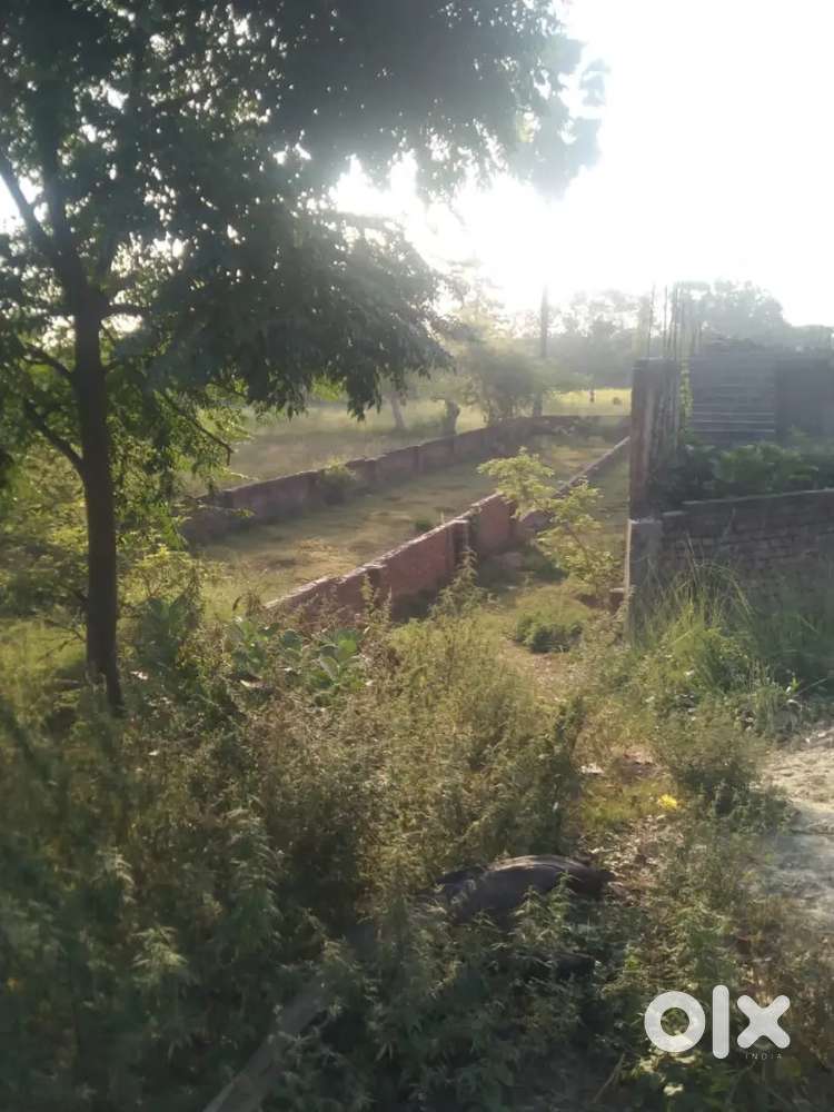 Rosera me jmin खरीदने एवं बेचने