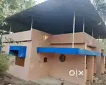 HOUSE FOR RENT NEAR P R WILLIAM HSS KATTAKADA