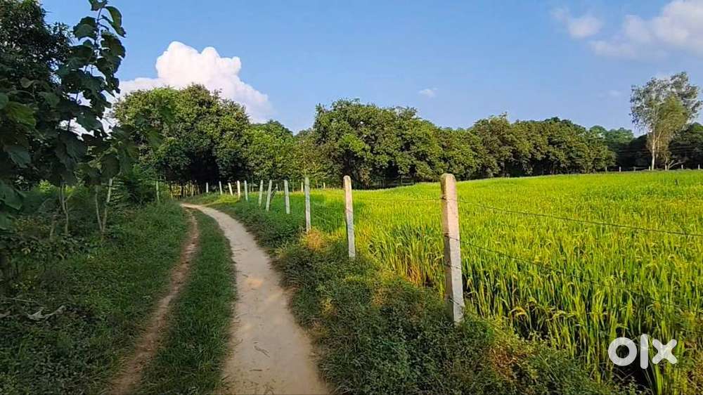 बढ़िया लोकेशन, हाइवे से जुड़ा आपका अपना प्लॉट