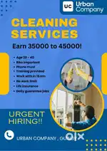 Professional cleaning services
