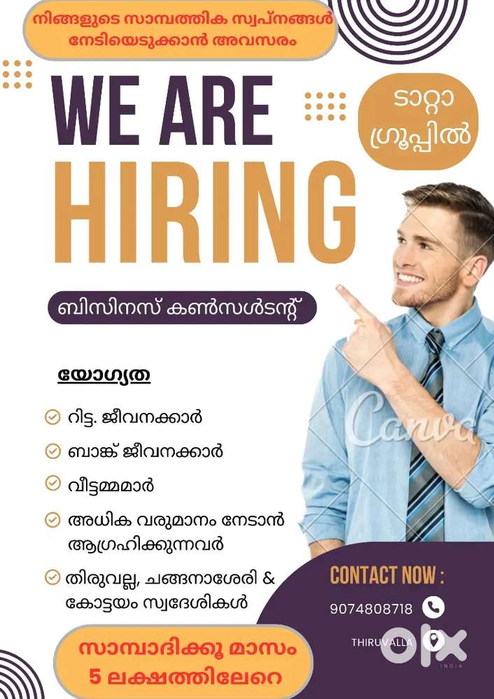 Business Consultant in TATA Financial Sector