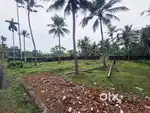 Residential Land for Sale – Varapuzha, Near Kongorpilly