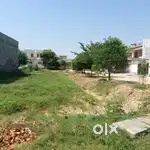 Shaandar Vadda plot