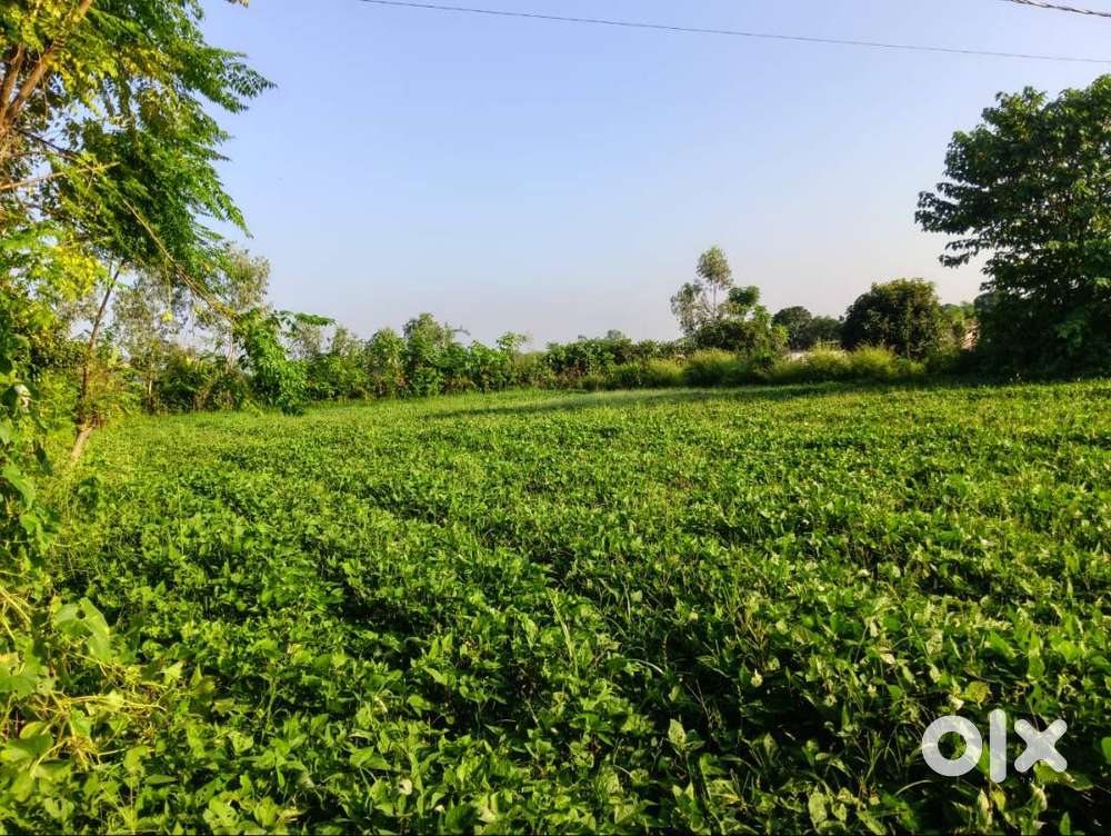 42acre propety for sale in 70lac per acre price