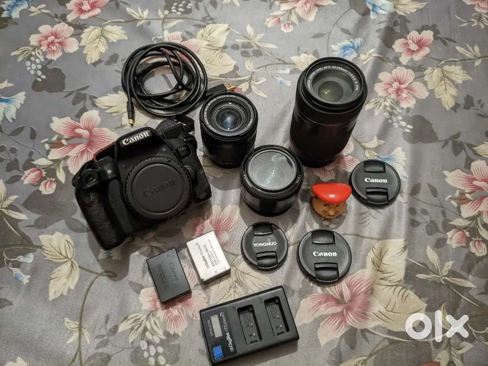 Canon 800D with 3 Lenses & Kit