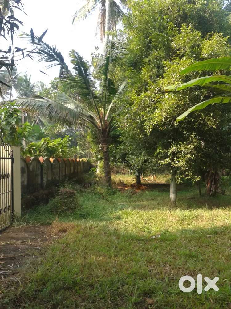 House Plot 17.8 cents for sale