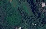 2 acre 19 cent for sale